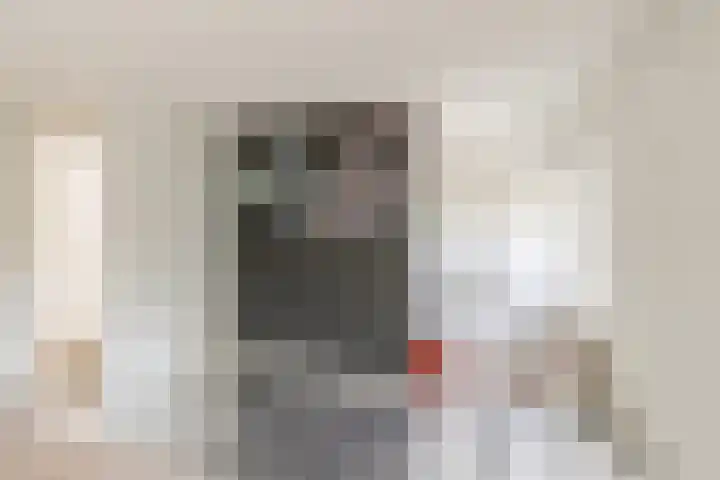 Elspeterbosweg 125 Vierhouten thumbnail 43