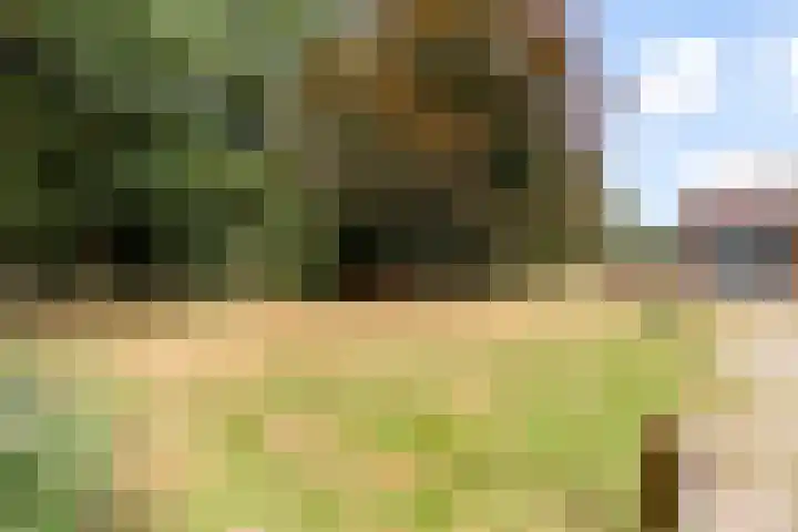 Elspeterbosweg 125 Vierhouten thumbnail 47