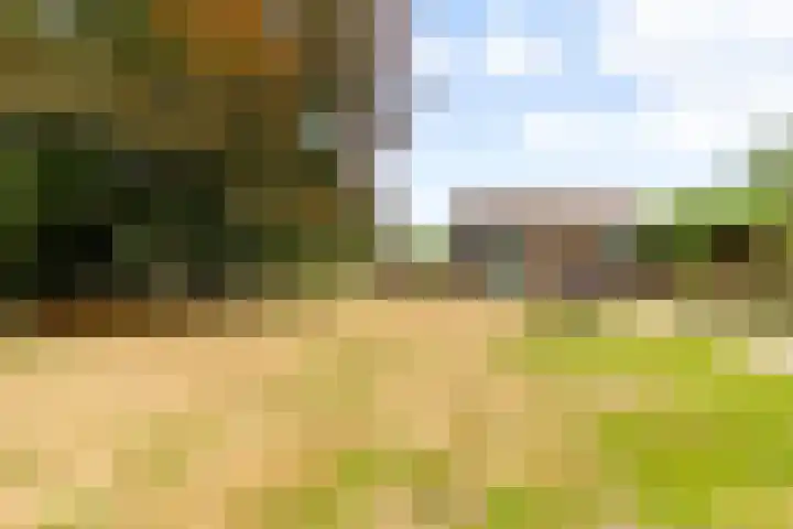 Elspeterbosweg 125 Vierhouten thumbnail 5