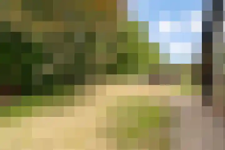 Elspeterbosweg 125 Vierhouten thumbnail 50
