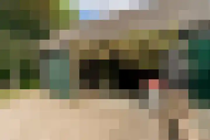 Elspeterbosweg 125 Vierhouten thumbnail 51