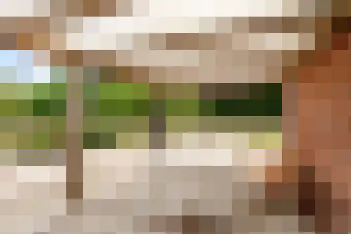 Elspeterbosweg 125 Vierhouten thumbnail 53
