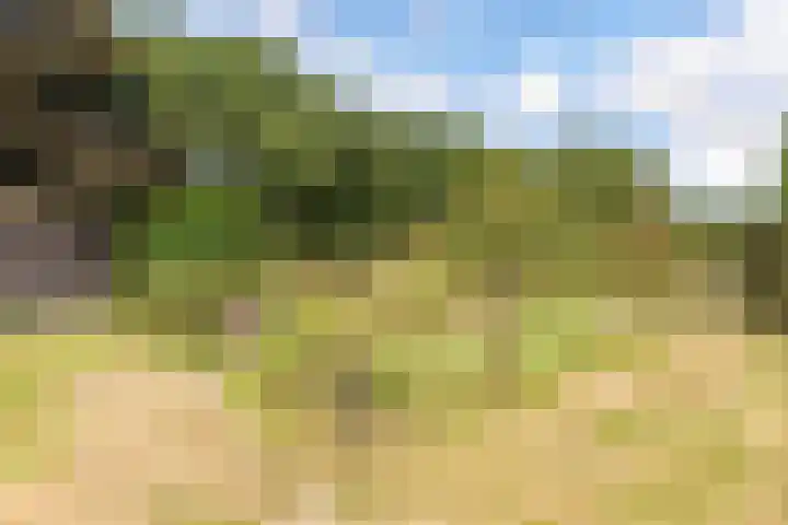 Elspeterbosweg 125 Vierhouten thumbnail 54