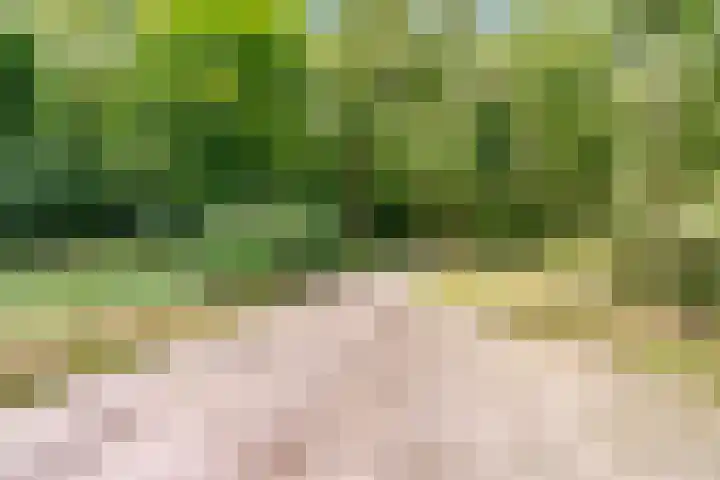Elspeterbosweg 125 Vierhouten thumbnail 55