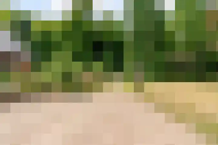 Elspeterbosweg 125 Vierhouten thumbnail 6