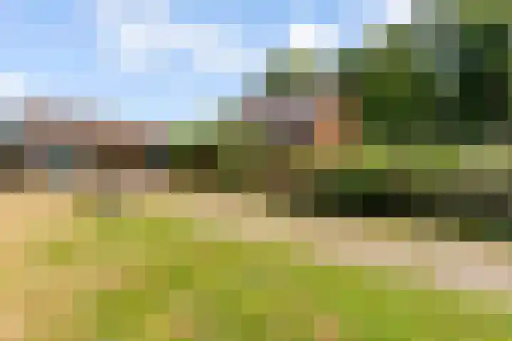 Elspeterbosweg 125 Vierhouten thumbnail 7