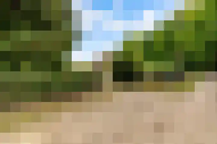 Elspeterbosweg 125 Vierhouten thumbnail 8