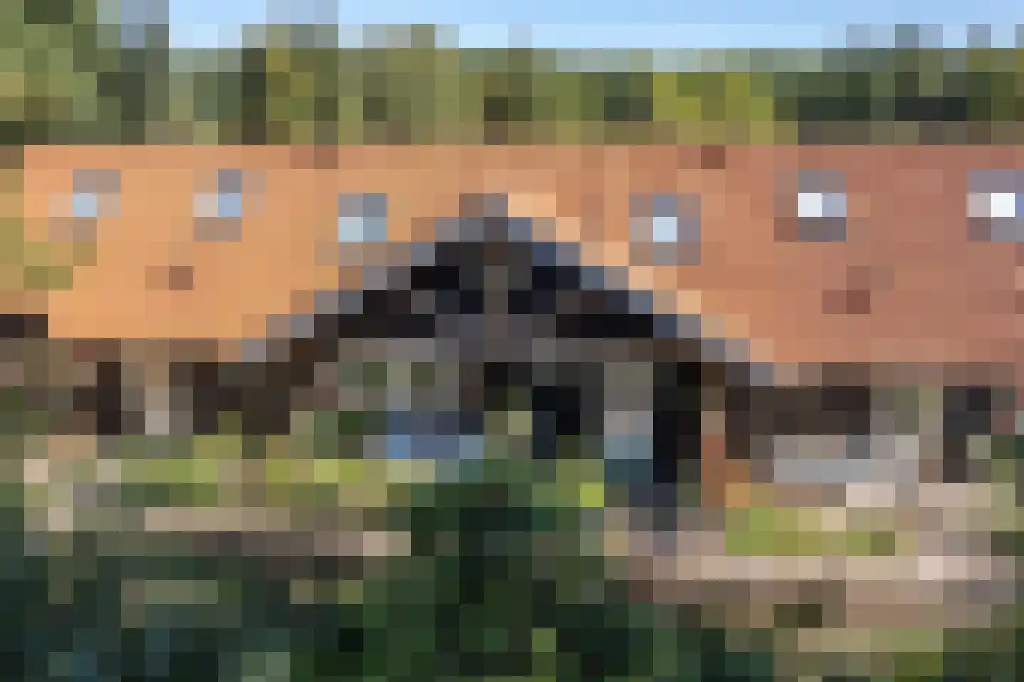 Elspeterbosweg 31 b Vierhouten thumbnail 10