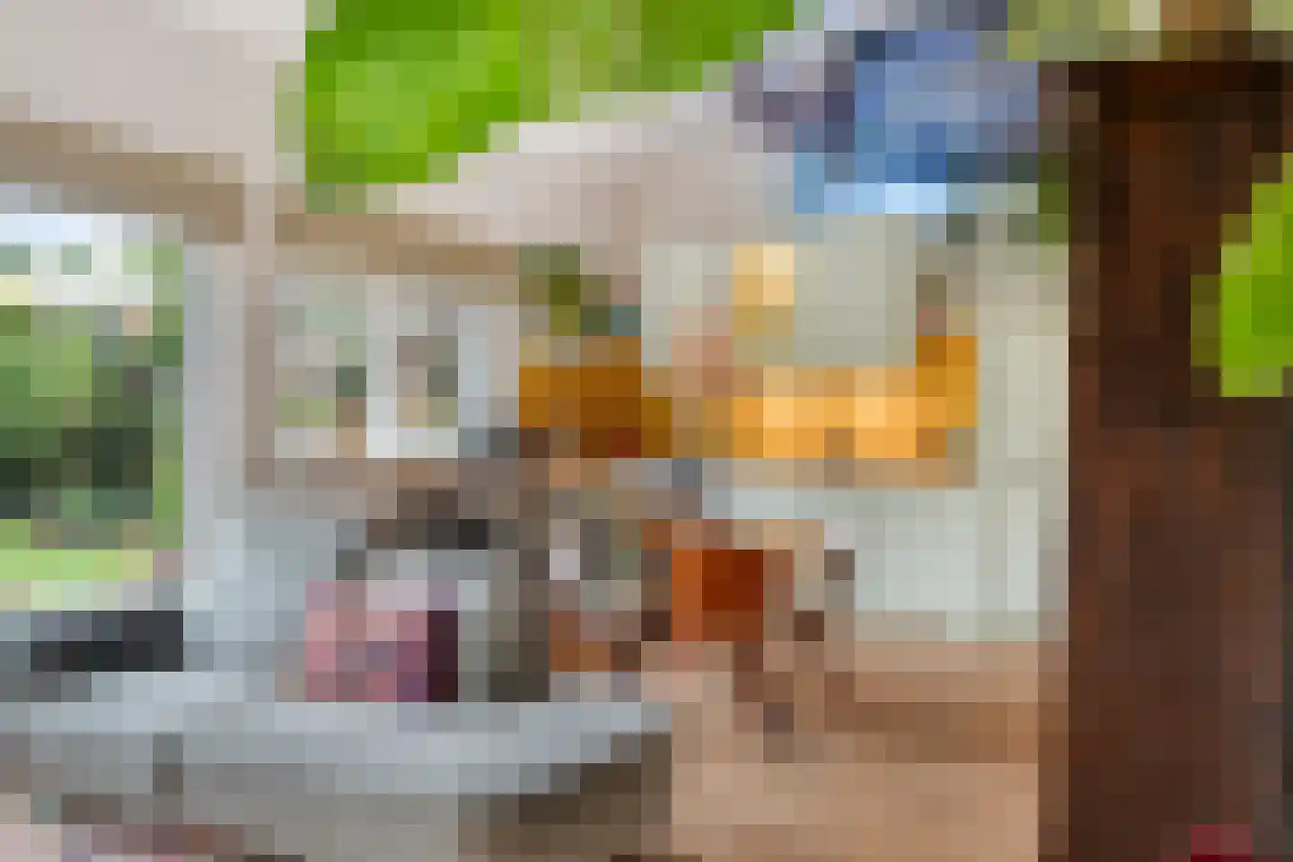 Elspeterbosweg 31 b Vierhouten thumbnail 17
