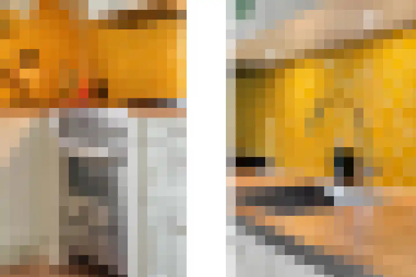 Elspeterbosweg 31 b Vierhouten thumbnail 23