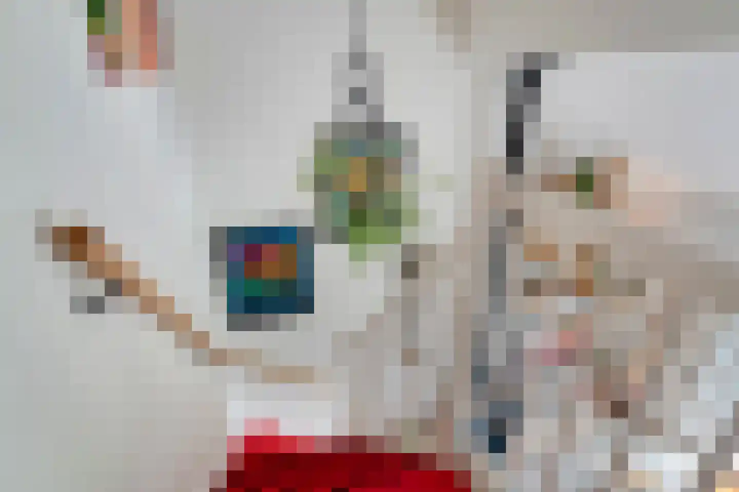 Elspeterbosweg 31 b Vierhouten thumbnail 25