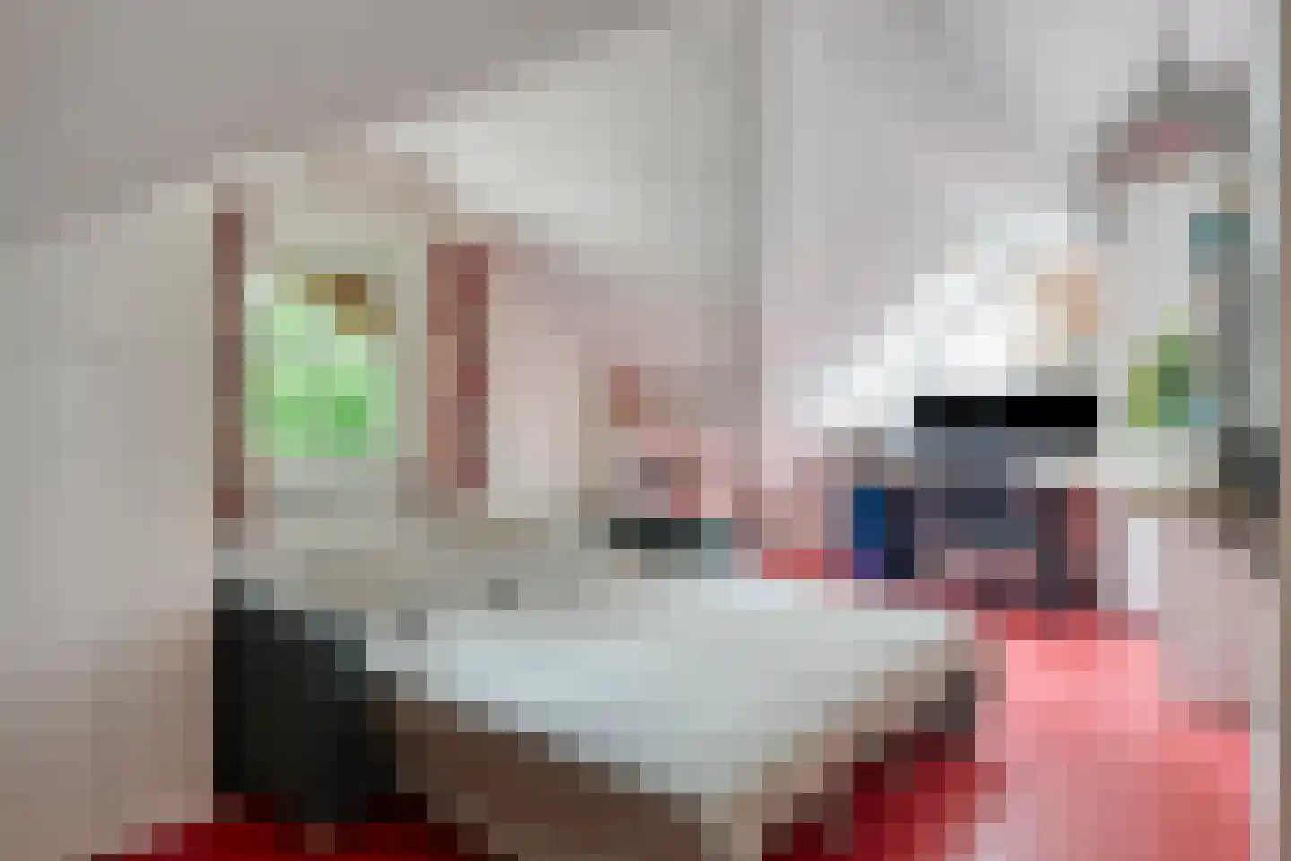 Elspeterbosweg 31 b Vierhouten thumbnail 30