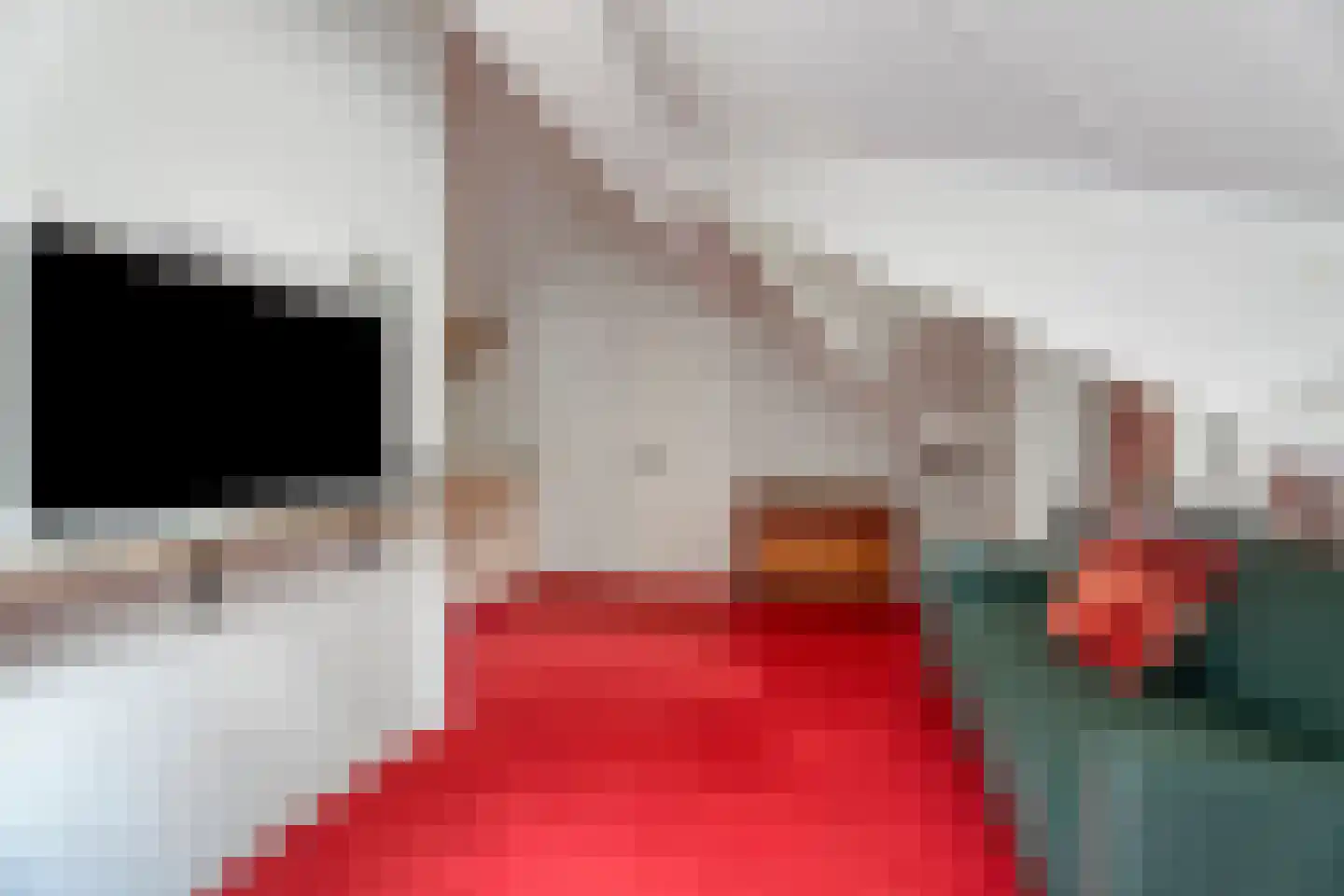 Elspeterbosweg 31 b Vierhouten thumbnail 32