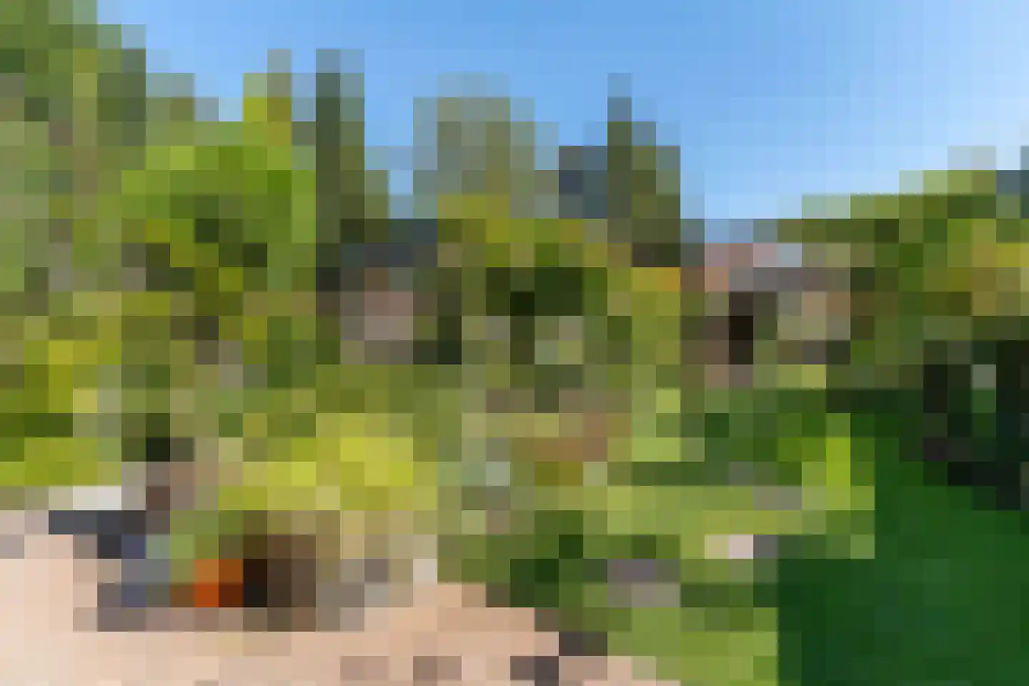 Elspeterbosweg 31 b Vierhouten thumbnail 35