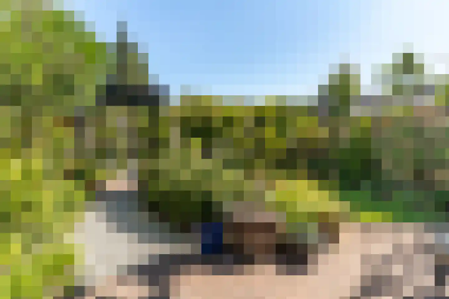 Elspeterbosweg 31 b Vierhouten thumbnail 36