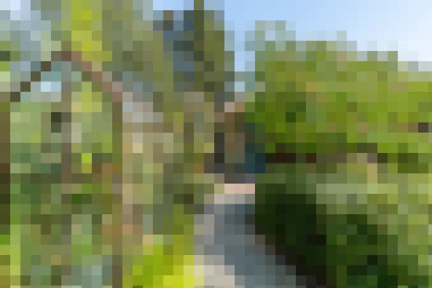 Elspeterbosweg 31 b Vierhouten thumbnail 37