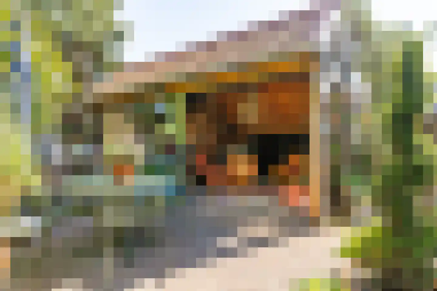 Elspeterbosweg 31 b Vierhouten thumbnail 38