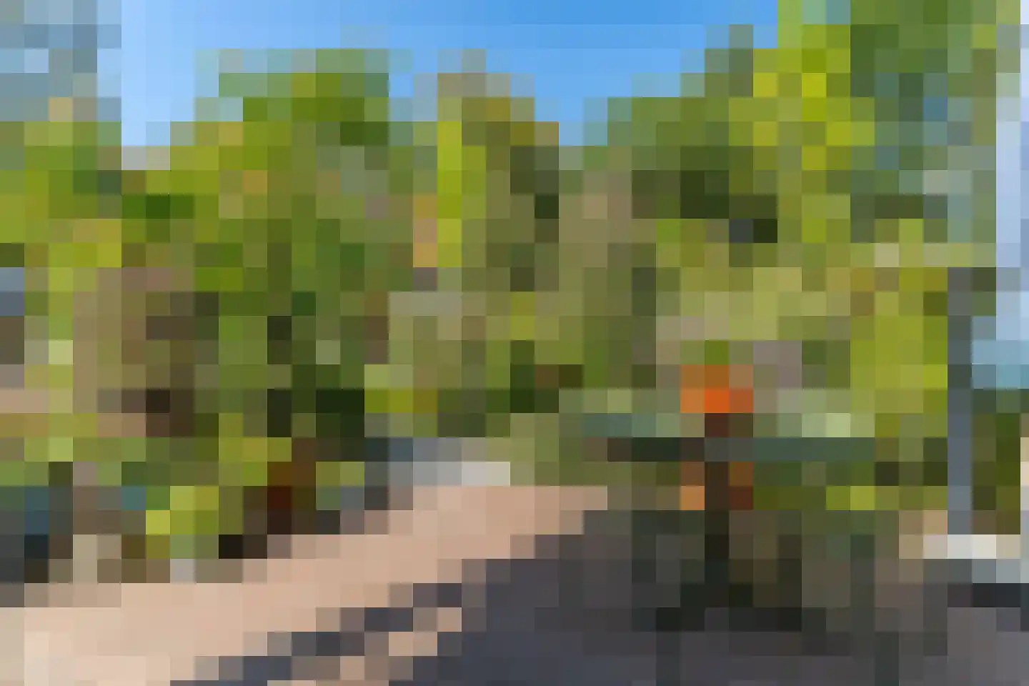 Elspeterbosweg 31 b Vierhouten thumbnail 41