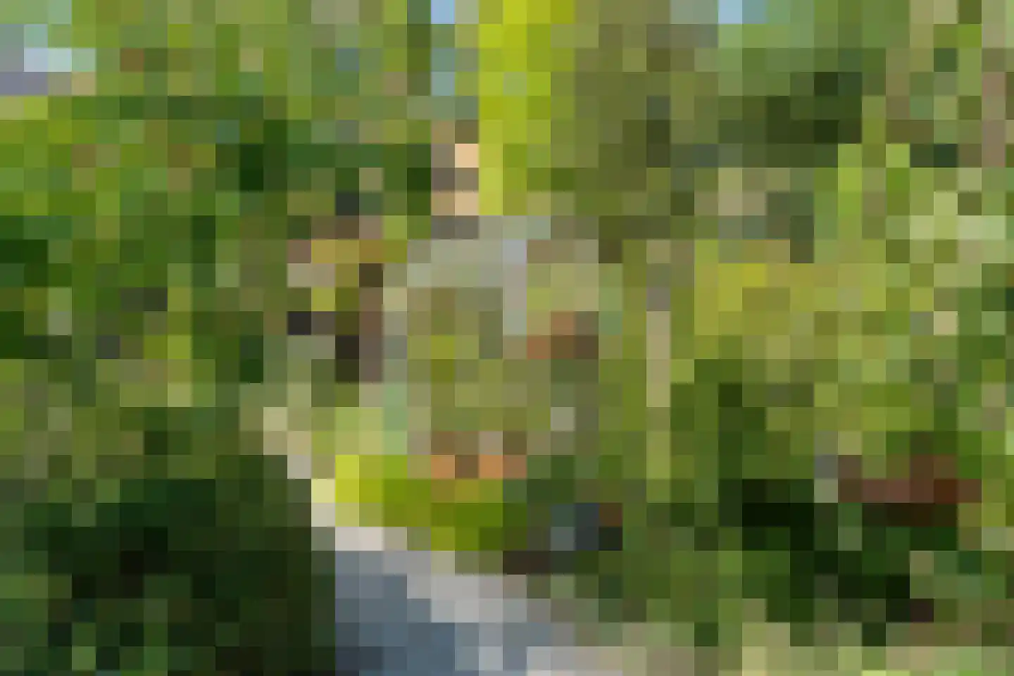 Elspeterbosweg 31 b Vierhouten thumbnail 42