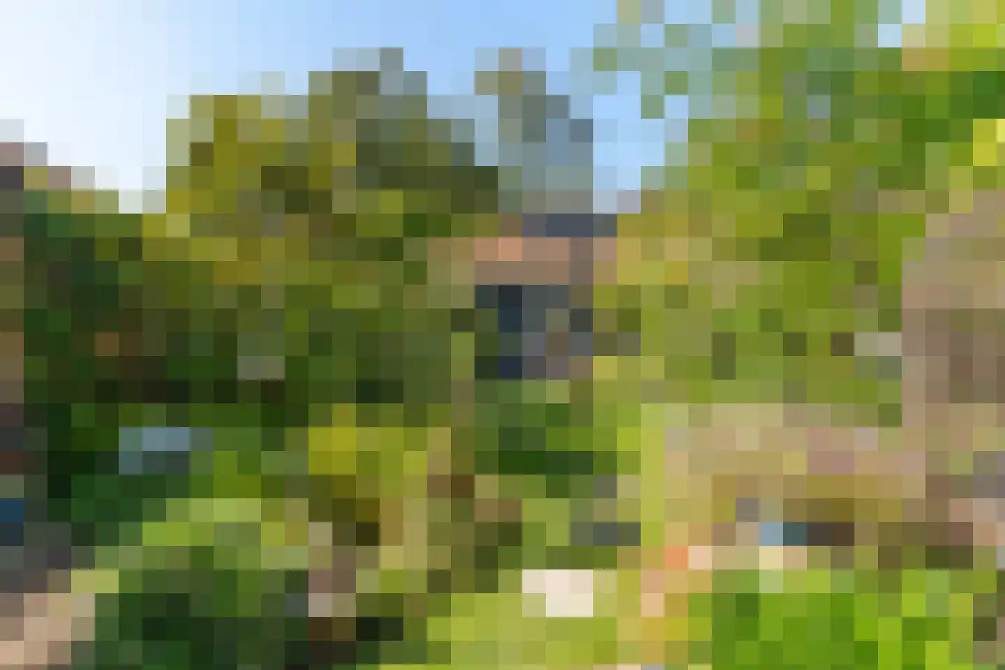 Elspeterbosweg 31 b Vierhouten thumbnail 43