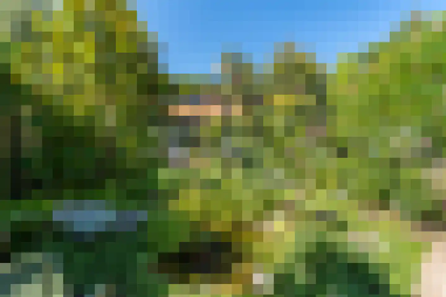 Elspeterbosweg 31 b Vierhouten thumbnail 44
