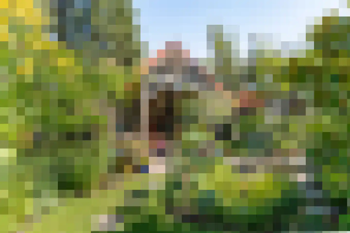 Elspeterbosweg 31 b Vierhouten thumbnail 45