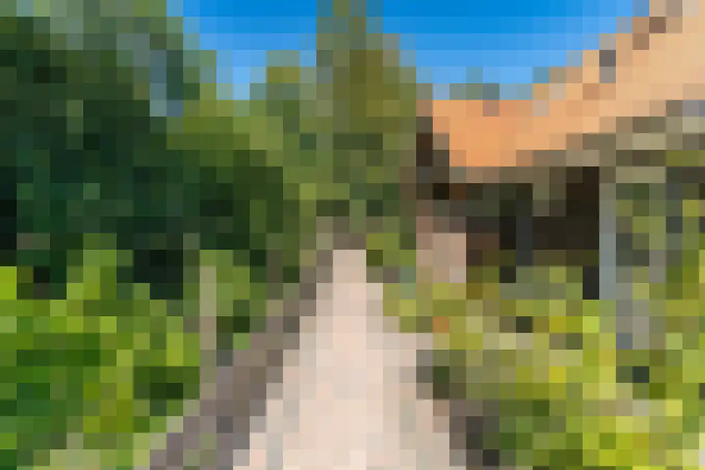 Elspeterbosweg 31 b Vierhouten thumbnail 6
