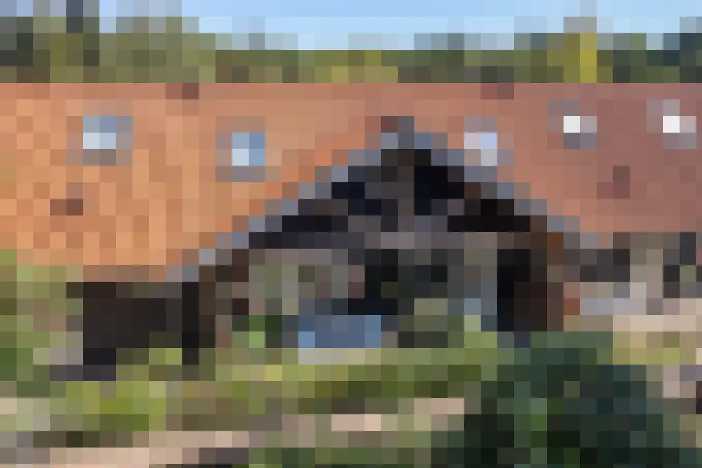 Elspeterbosweg 31 b Vierhouten thumbnail 7