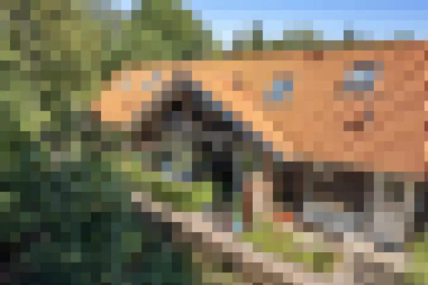 Elspeterbosweg 31 b Vierhouten thumbnail 8