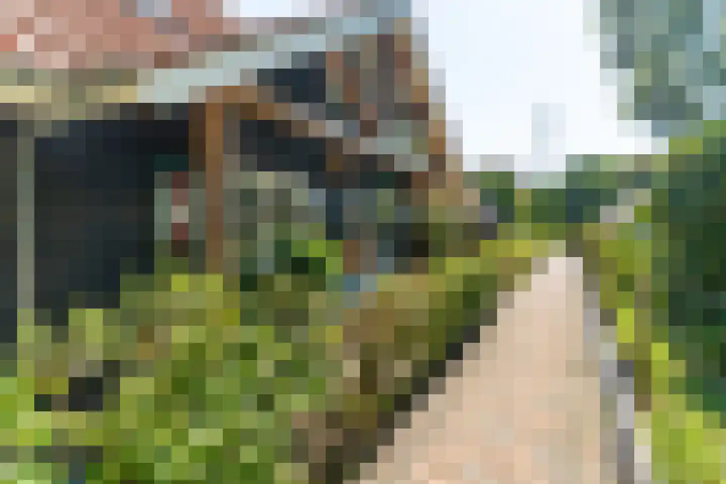 Elspeterbosweg 31 b Vierhouten thumbnail 9