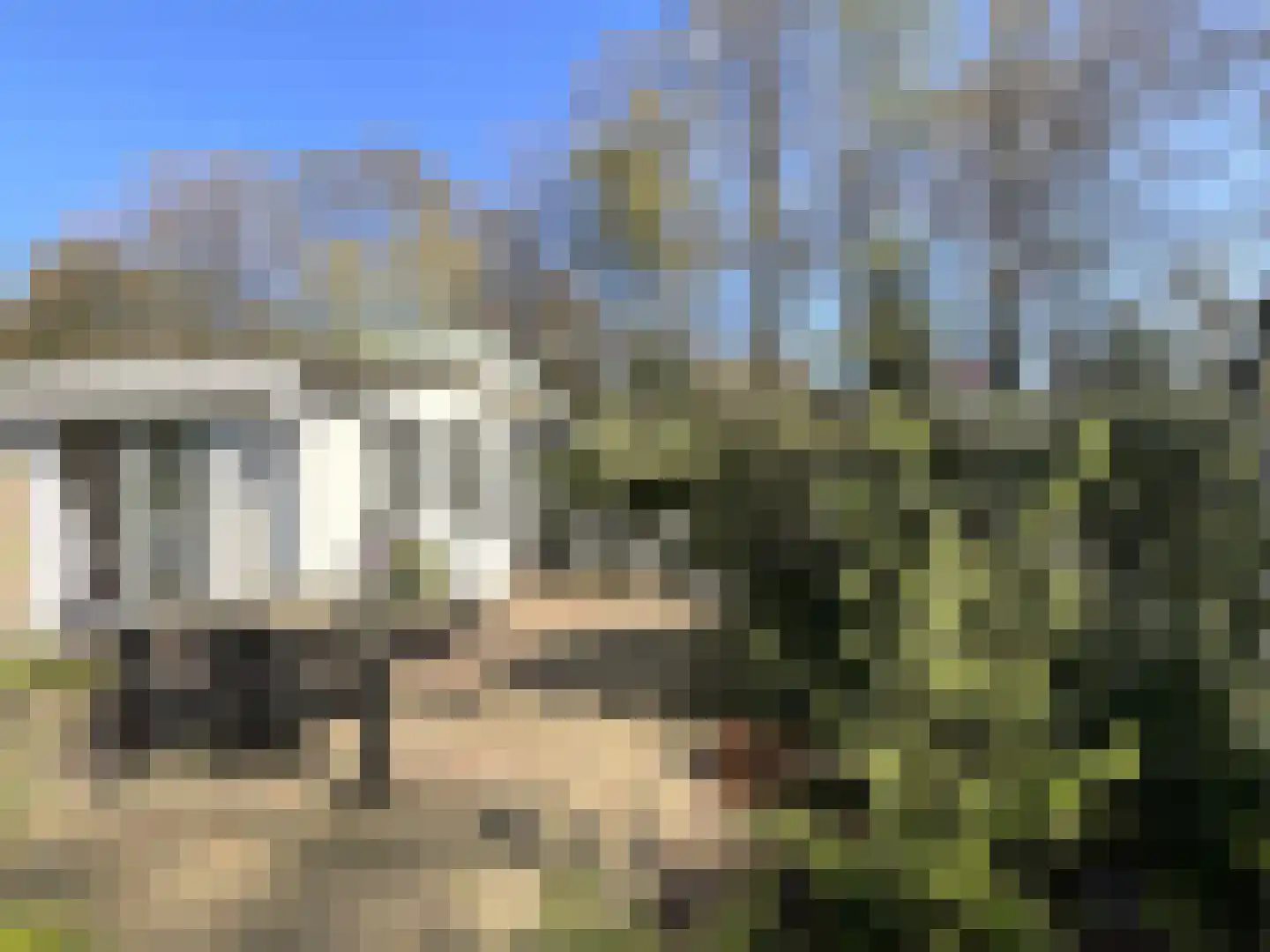 Elspeterbosweg 44 7 Vierhouten thumbnail 13
