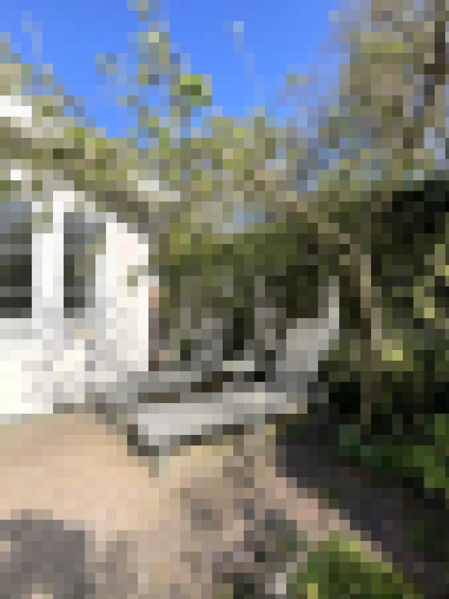 Elspeterbosweg 44 7 Vierhouten thumbnail 14