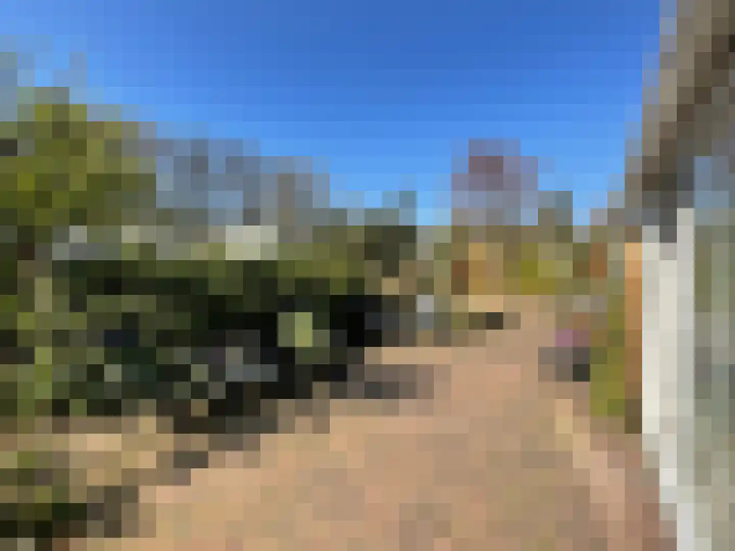 Elspeterbosweg 44 7 Vierhouten thumbnail 16