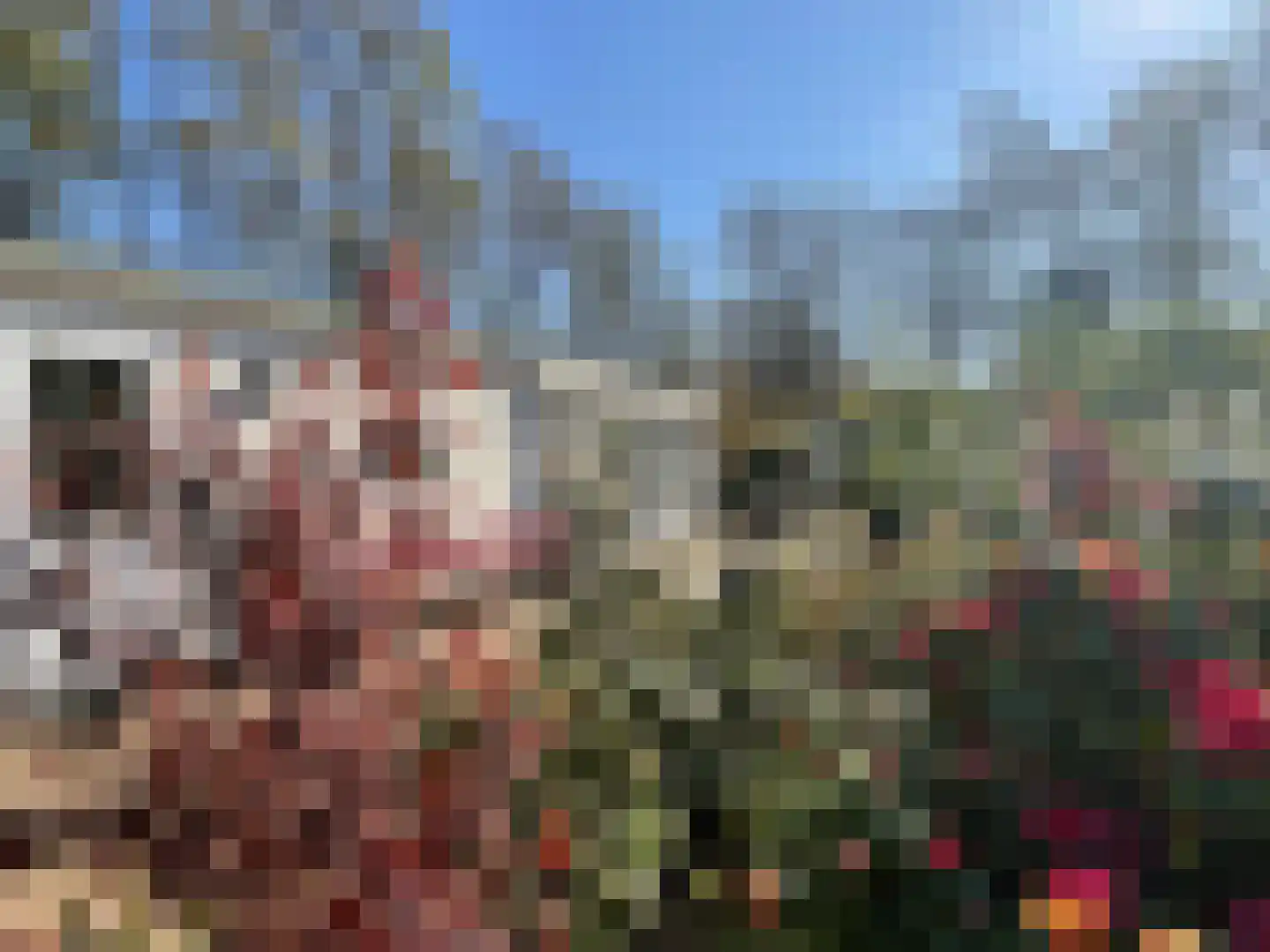 Elspeterbosweg 44 7 Vierhouten thumbnail 17