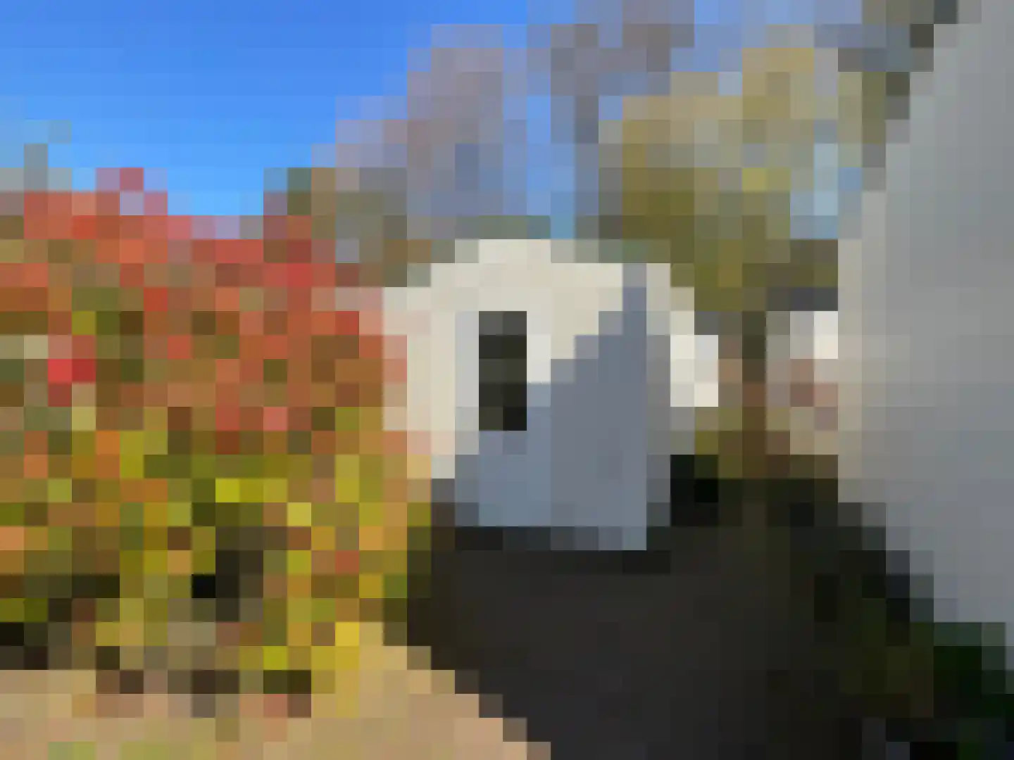Elspeterbosweg 44 7 Vierhouten thumbnail 18