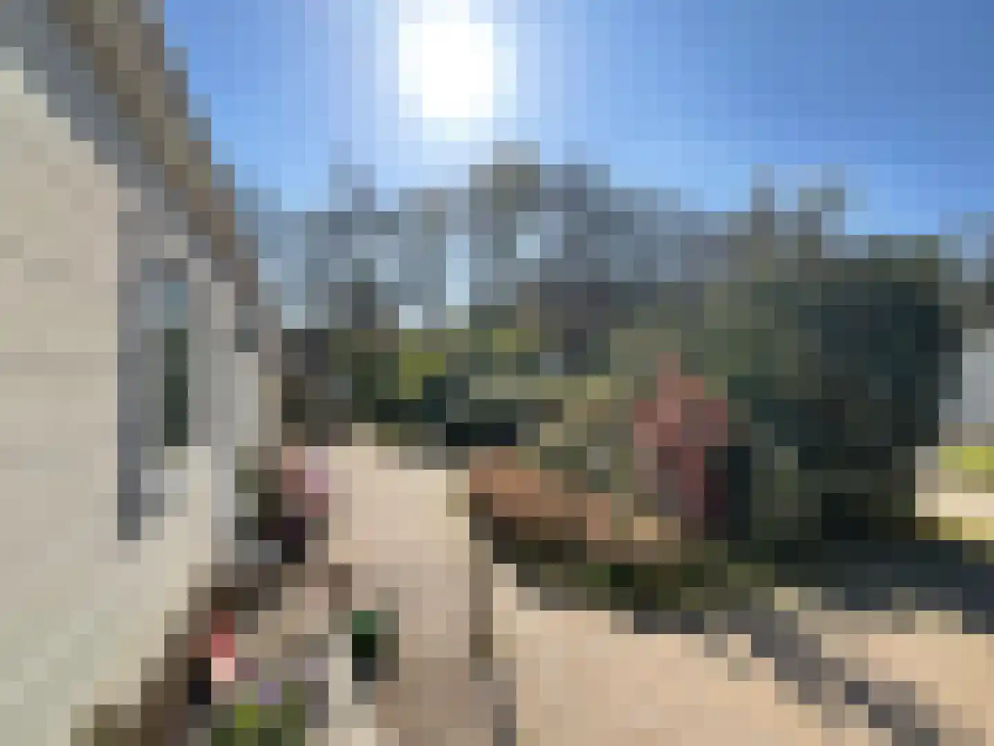 Elspeterbosweg 44 7 Vierhouten thumbnail 19