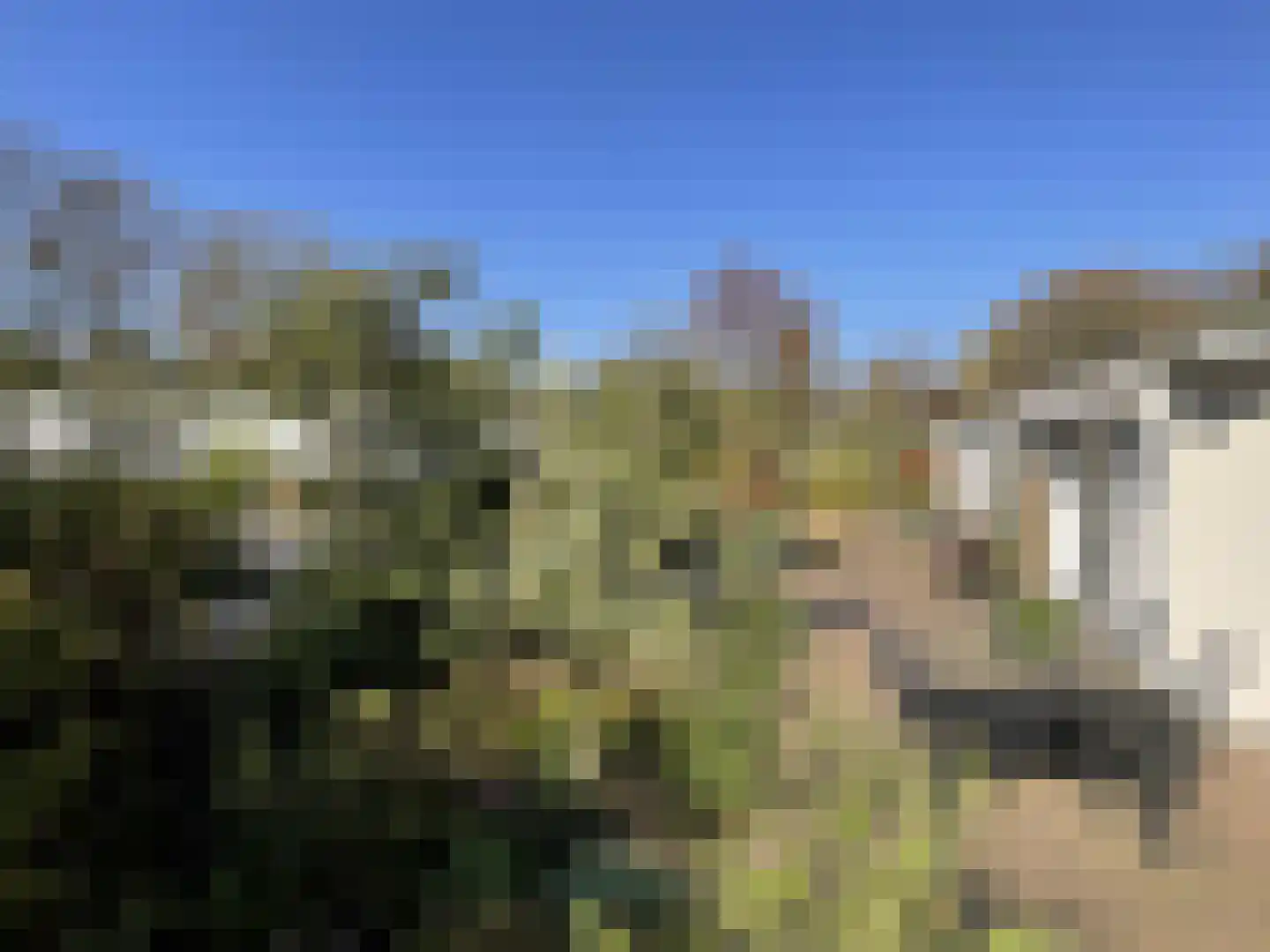 Elspeterbosweg 44 7 Vierhouten thumbnail 20