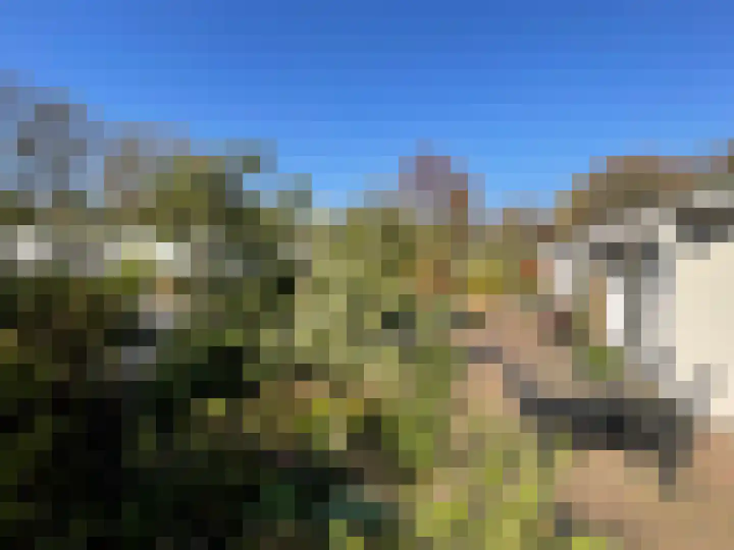 Elspeterbosweg 44 7 Vierhouten thumbnail 20