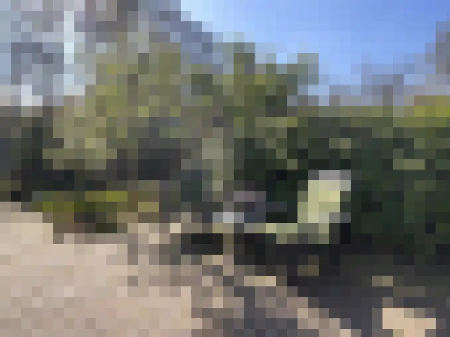 Elspeterbosweg 44 7 Vierhouten thumbnail 21