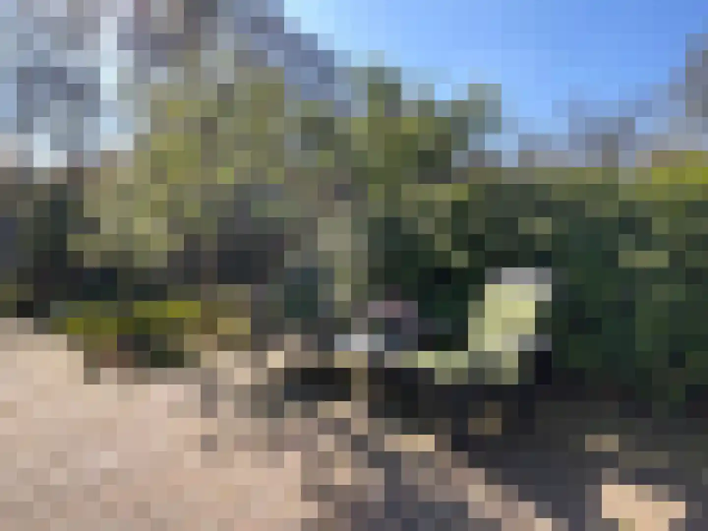 Elspeterbosweg 44 7 Vierhouten thumbnail 21