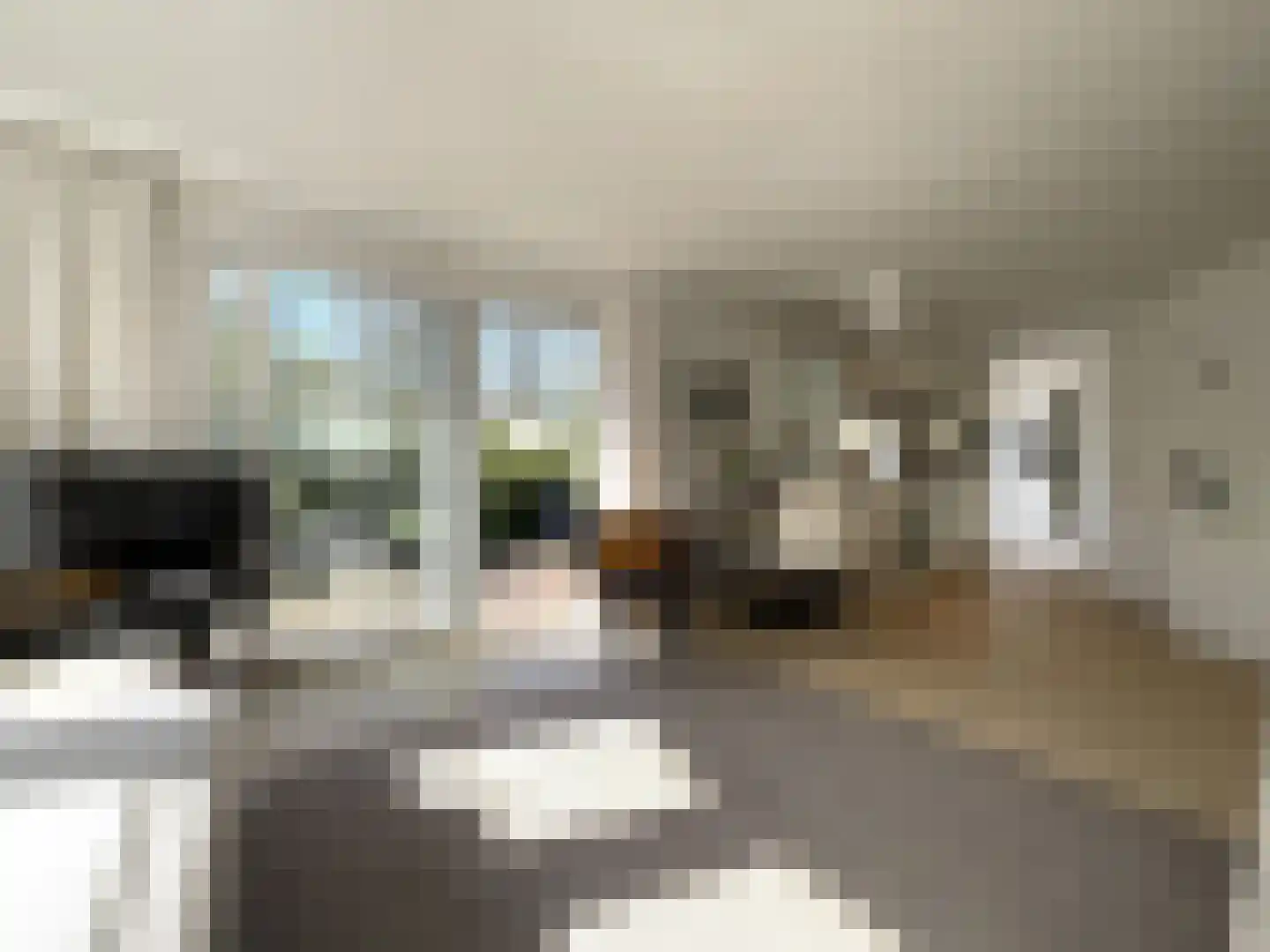 Elspeterbosweg 44 7 Vierhouten thumbnail 4