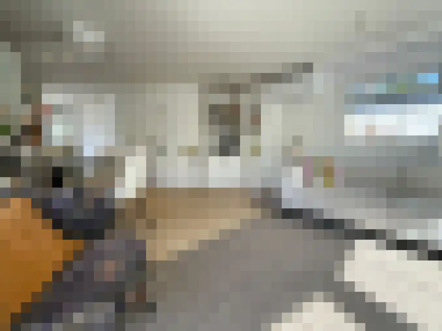 Elspeterbosweg 44 7 Vierhouten thumbnail 5