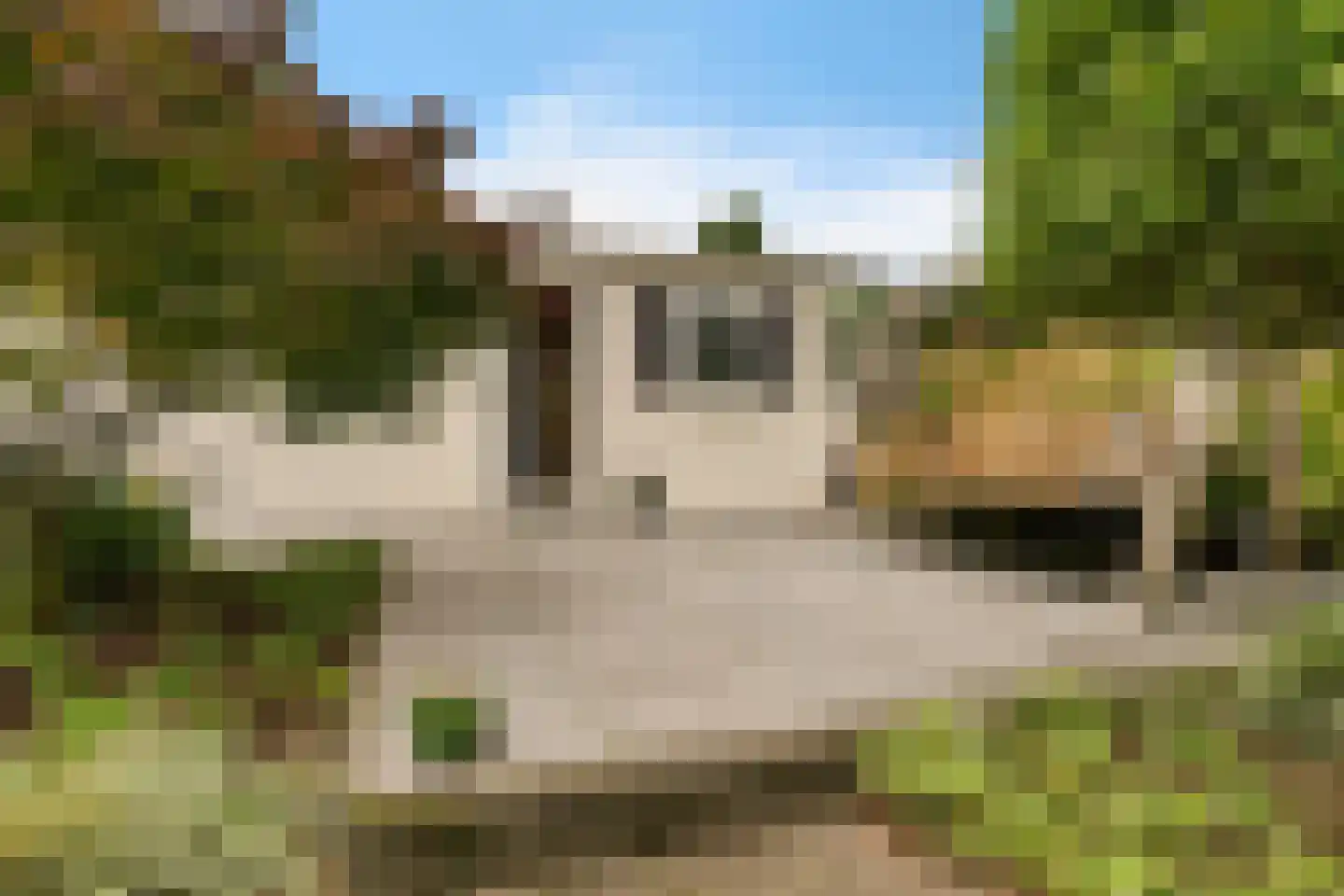 Elspeterbosweg 44 B20 Vierhouten thumbnail 10