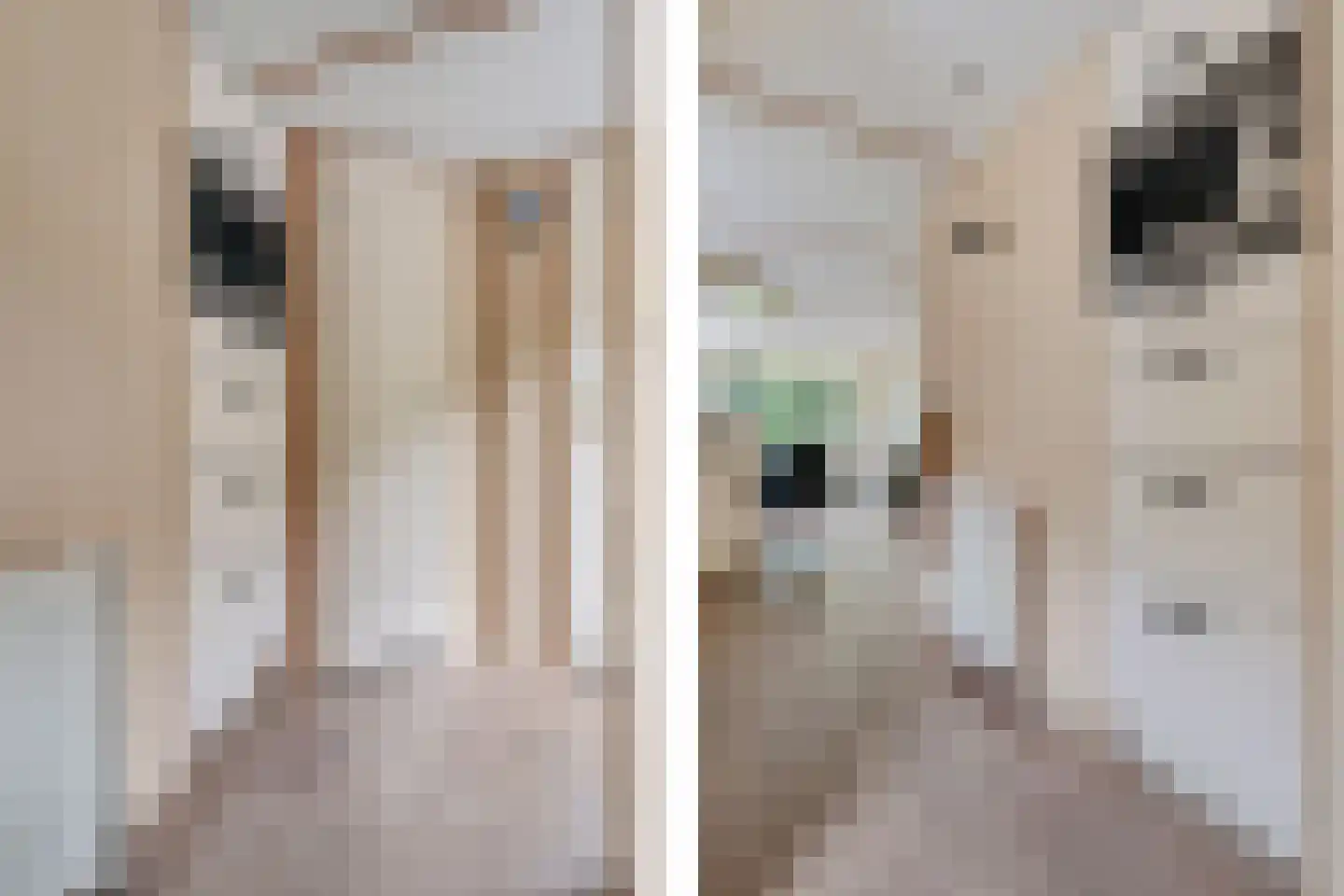 Elspeterbosweg 44 B20 Vierhouten thumbnail 17
