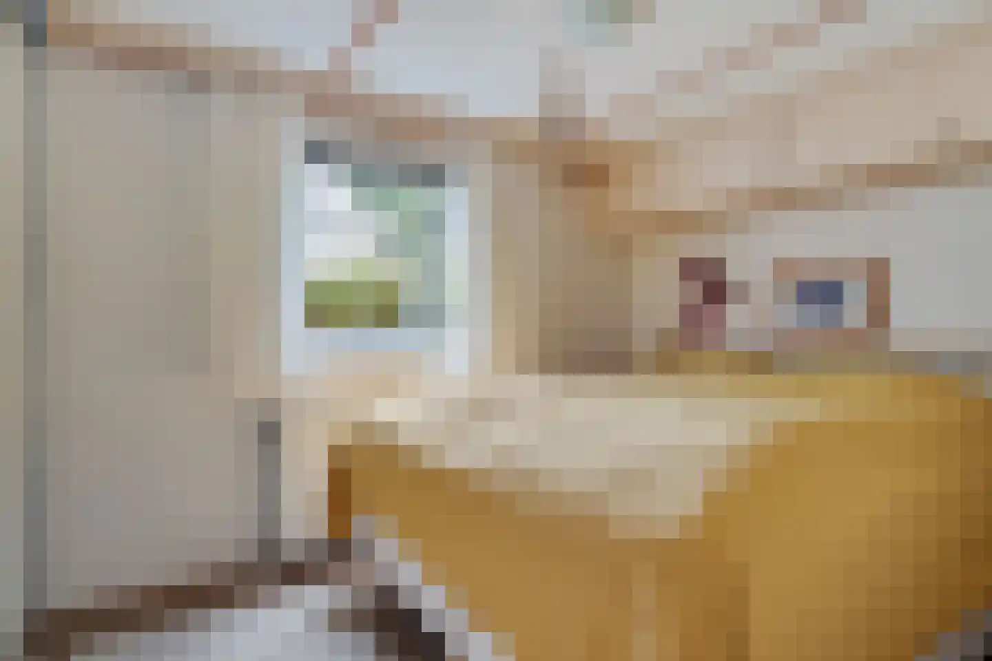 Elspeterbosweg 44 B20 Vierhouten thumbnail 18