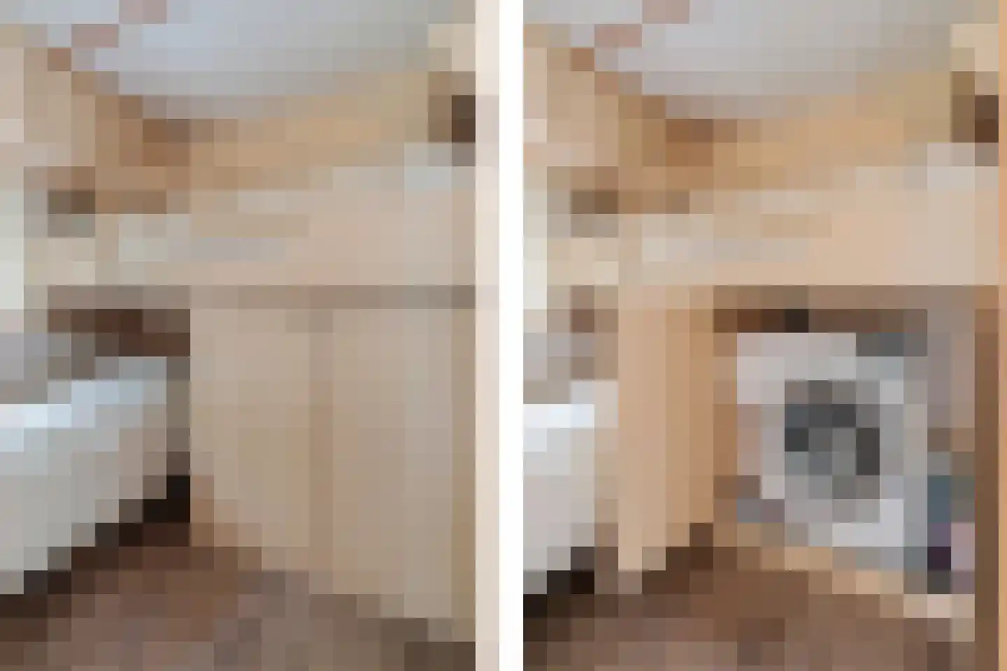 Elspeterbosweg 44 B20 Vierhouten thumbnail 21