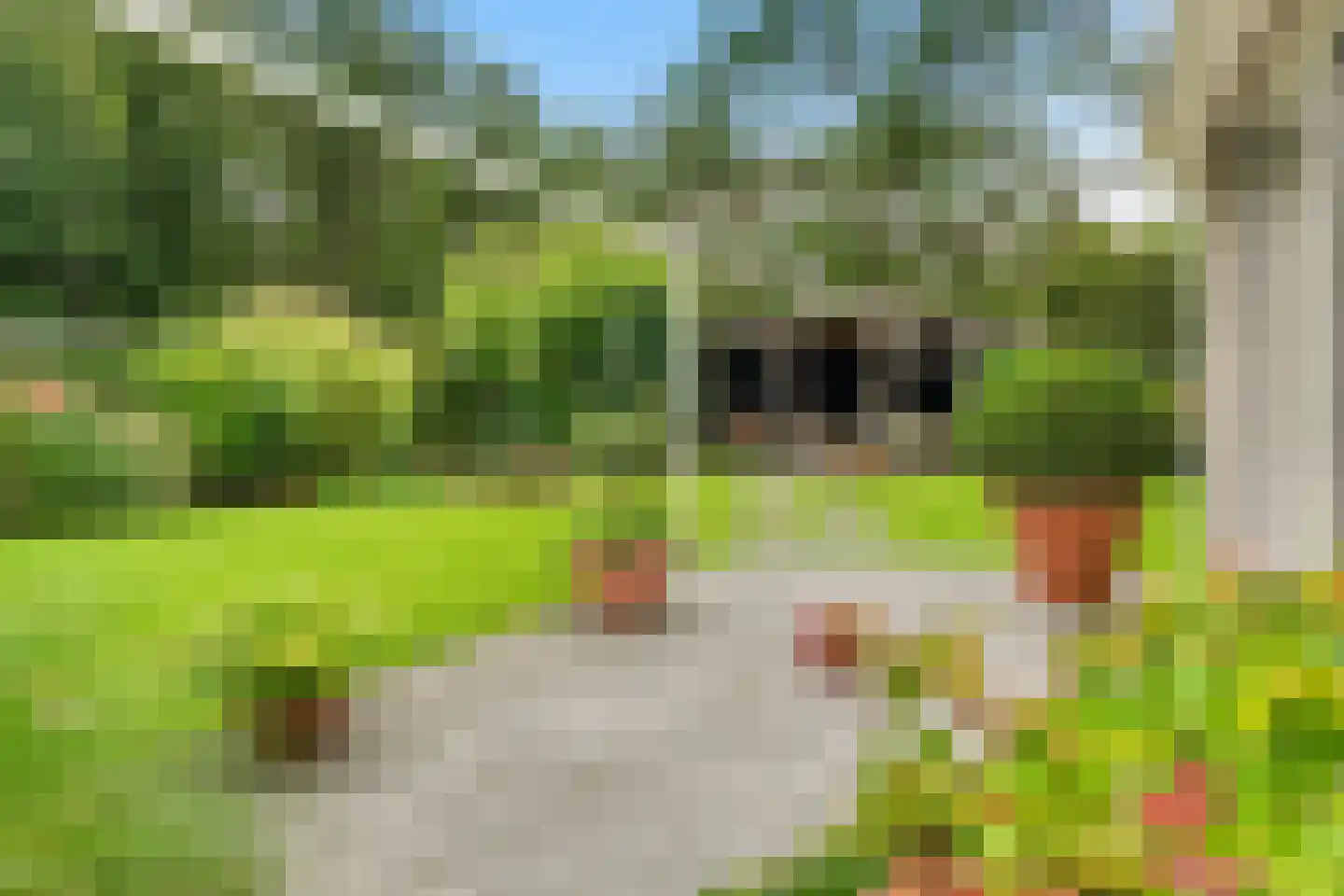 Elspeterbosweg 44 B20 Vierhouten thumbnail 5