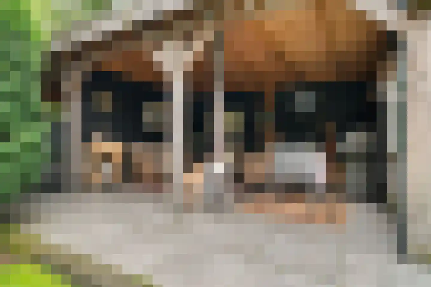 Elspeterbosweg 44 B20 Vierhouten thumbnail 6