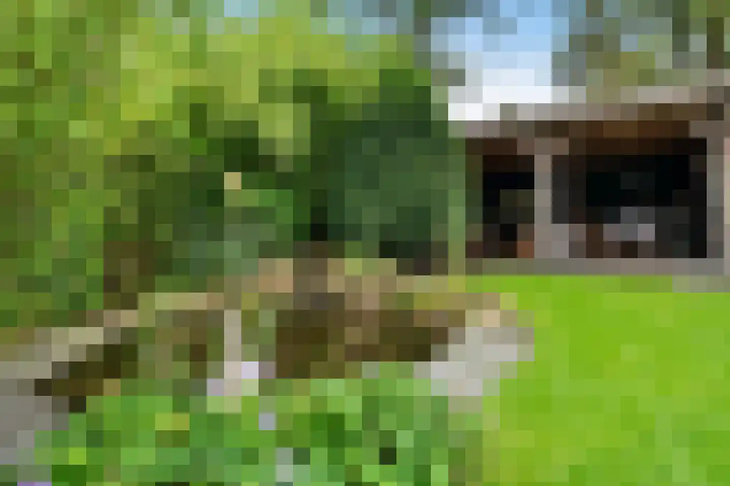 Elspeterbosweg 44 B20 Vierhouten thumbnail 8