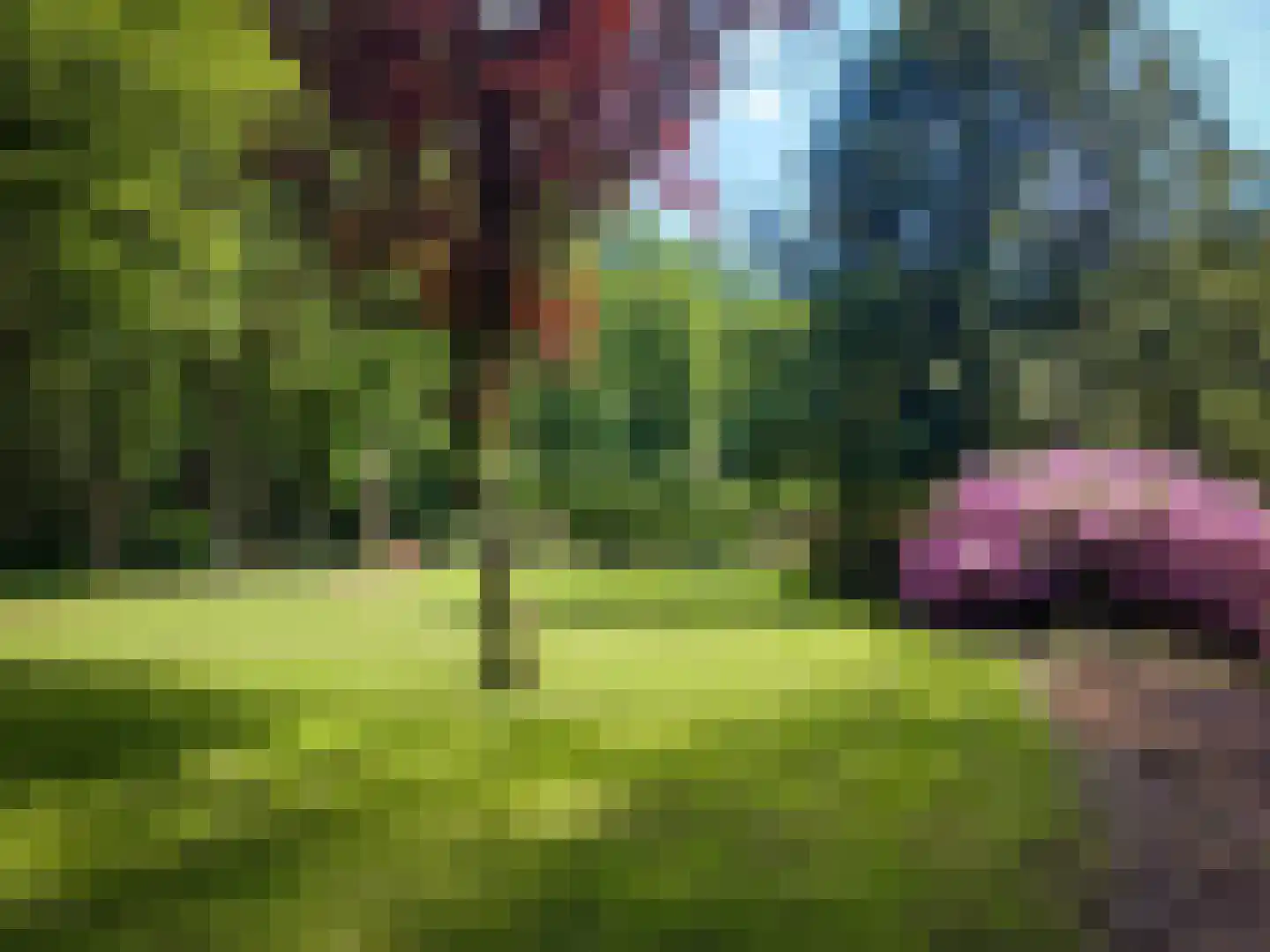 Elspeterweg 10 Vaassen thumbnail 28